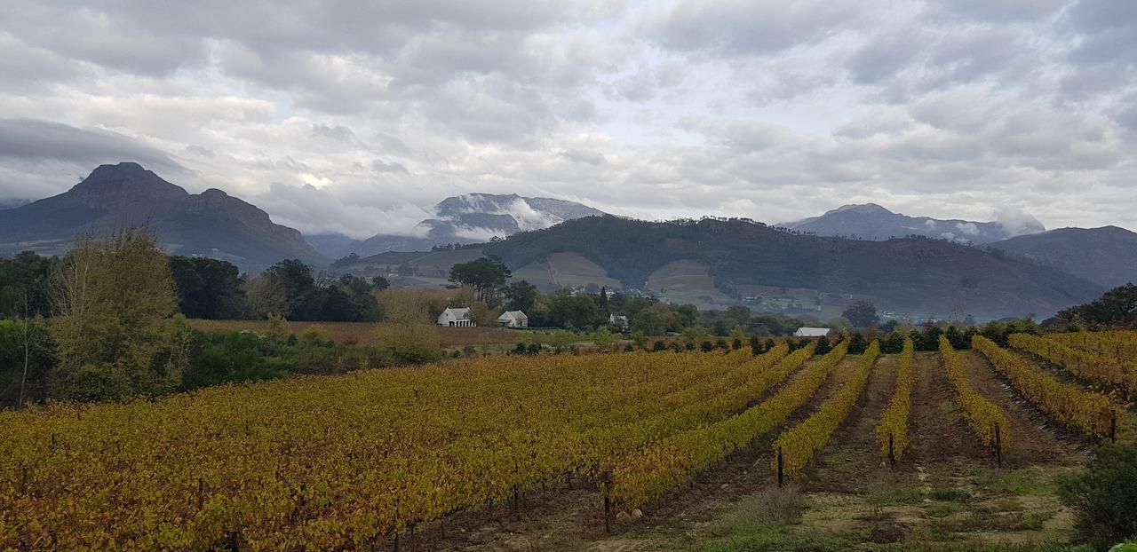 La Cotte Forest Cottages Franschhoek Exterior photo