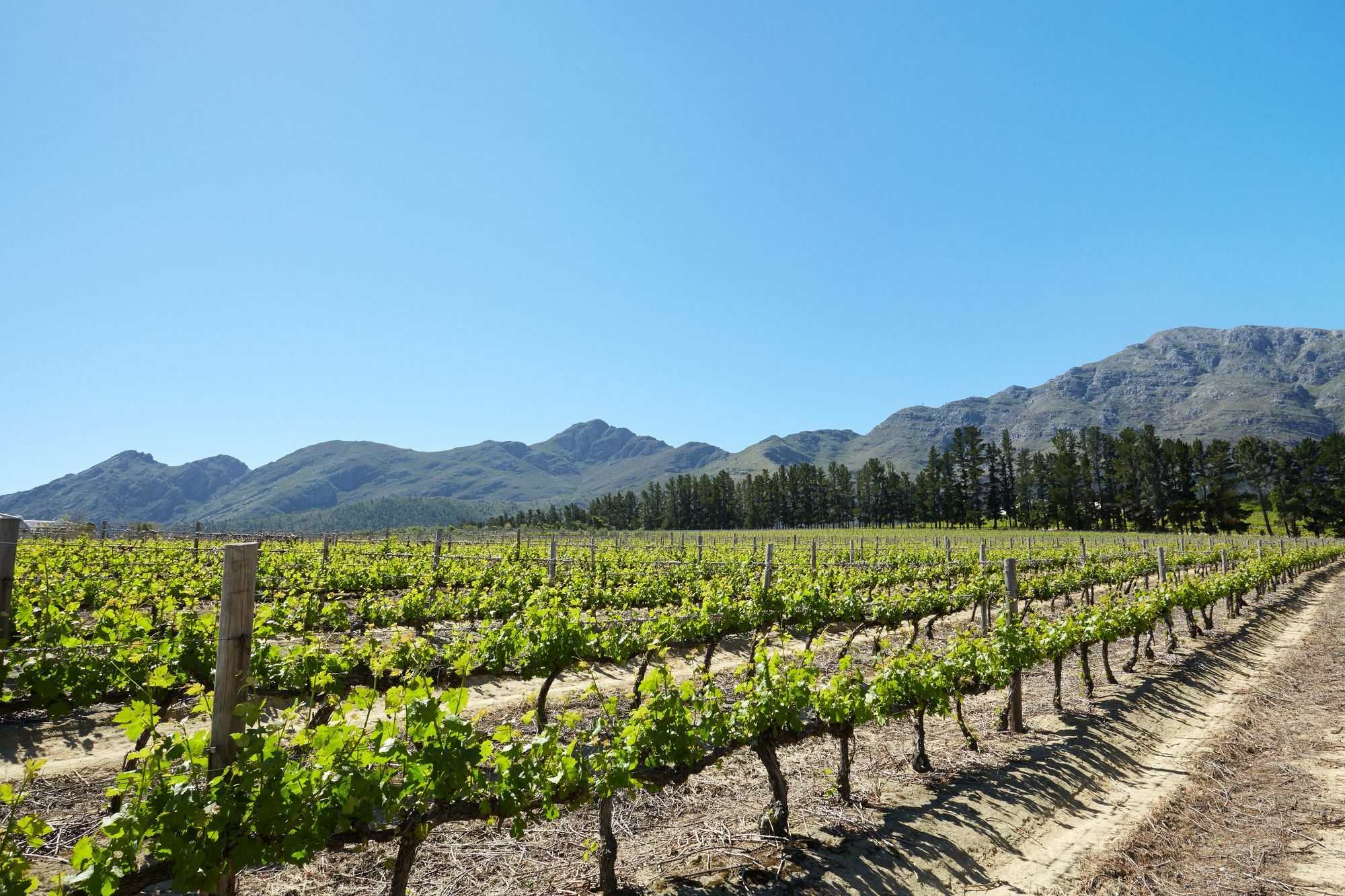 La Cotte Forest Cottages Franschhoek Exterior photo