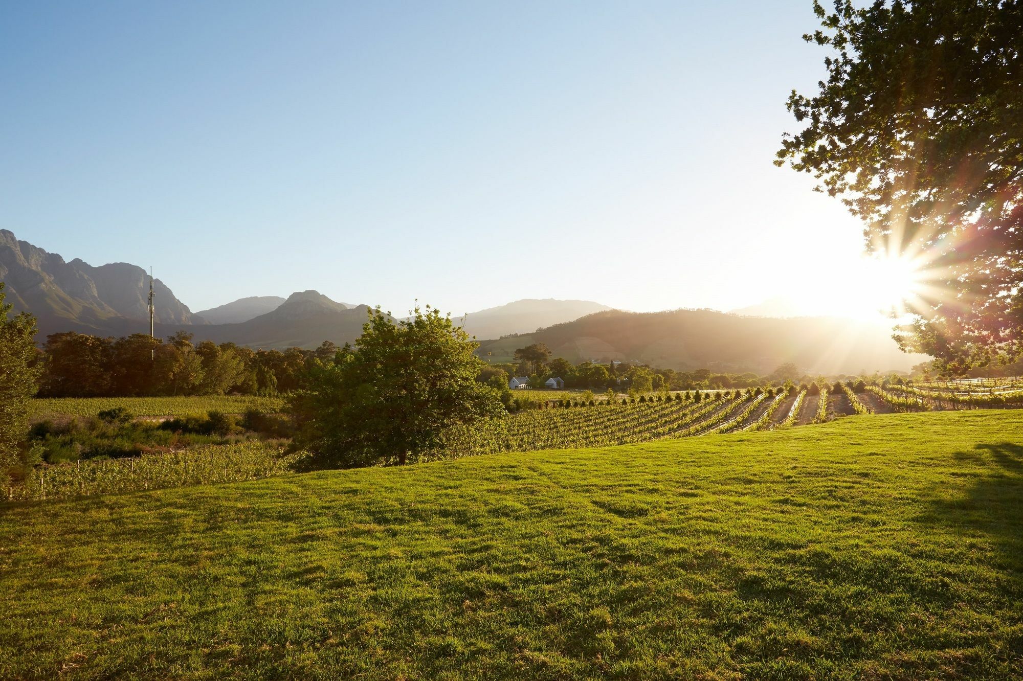 La Cotte Forest Cottages Franschhoek Exterior photo